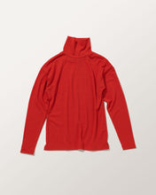 画像をギャラリービューアに読み込む, ウールタートル